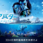 CORAL_JPN_payoff_yoko