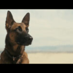 20240408-01049704-denfami-000-3-view